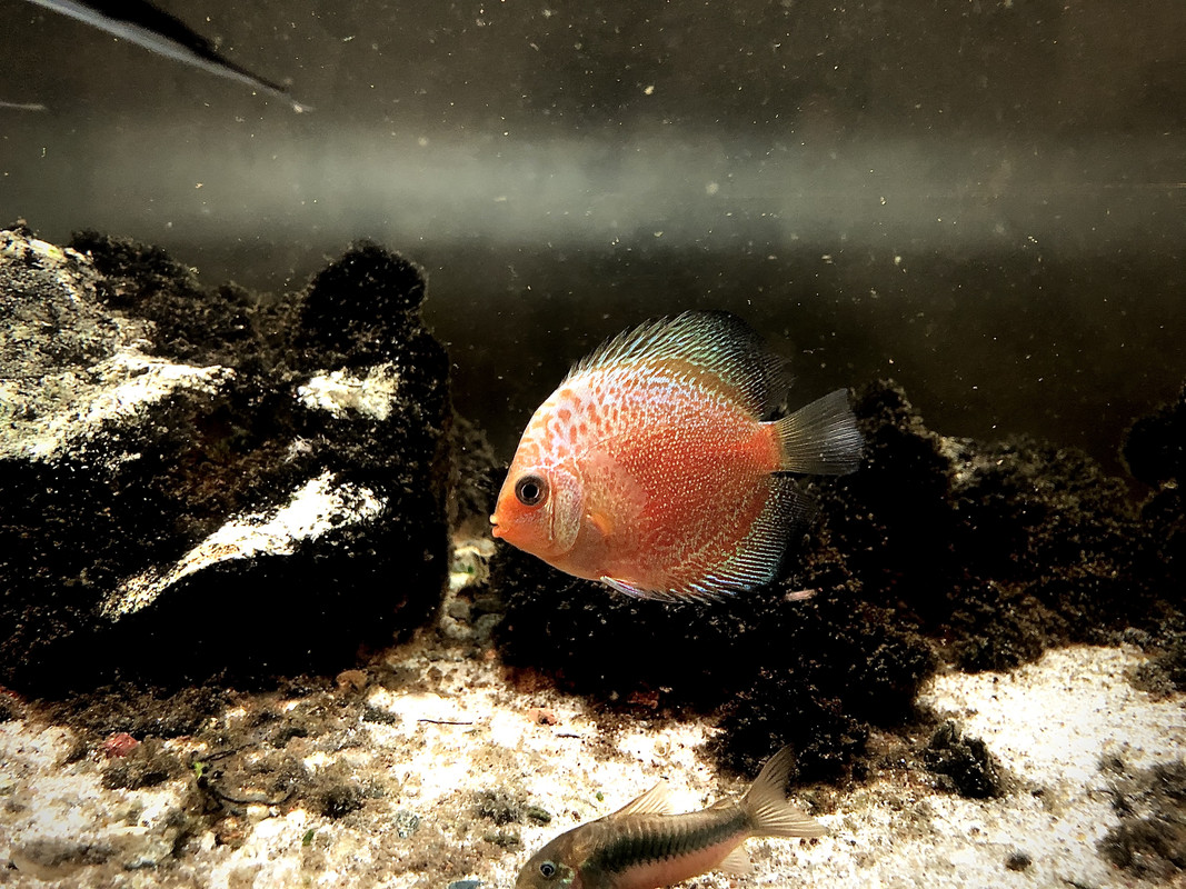 5E93CC8C-5440-449E-9CDF-35E726BAC7AB