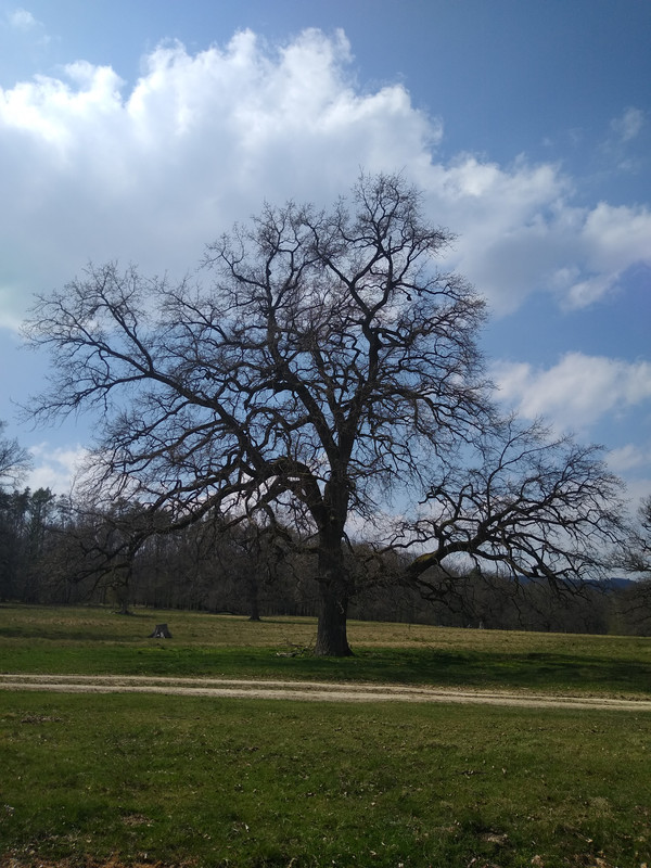 IMG_20210425_142816158