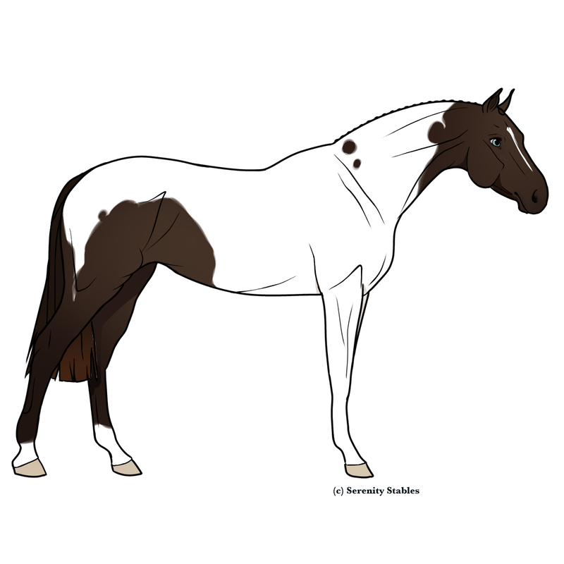 Untitled507-20240513153135.png