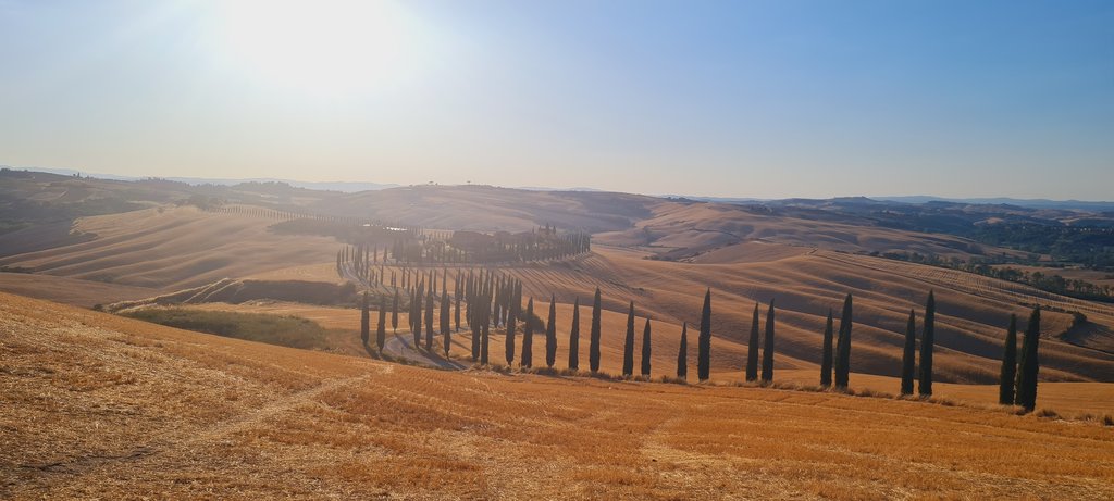 La Toscana 2022: entre termas y cipreses - Blogs de Italia - Los cipreses creen en Dios...y más en Val D'Orcia (8)