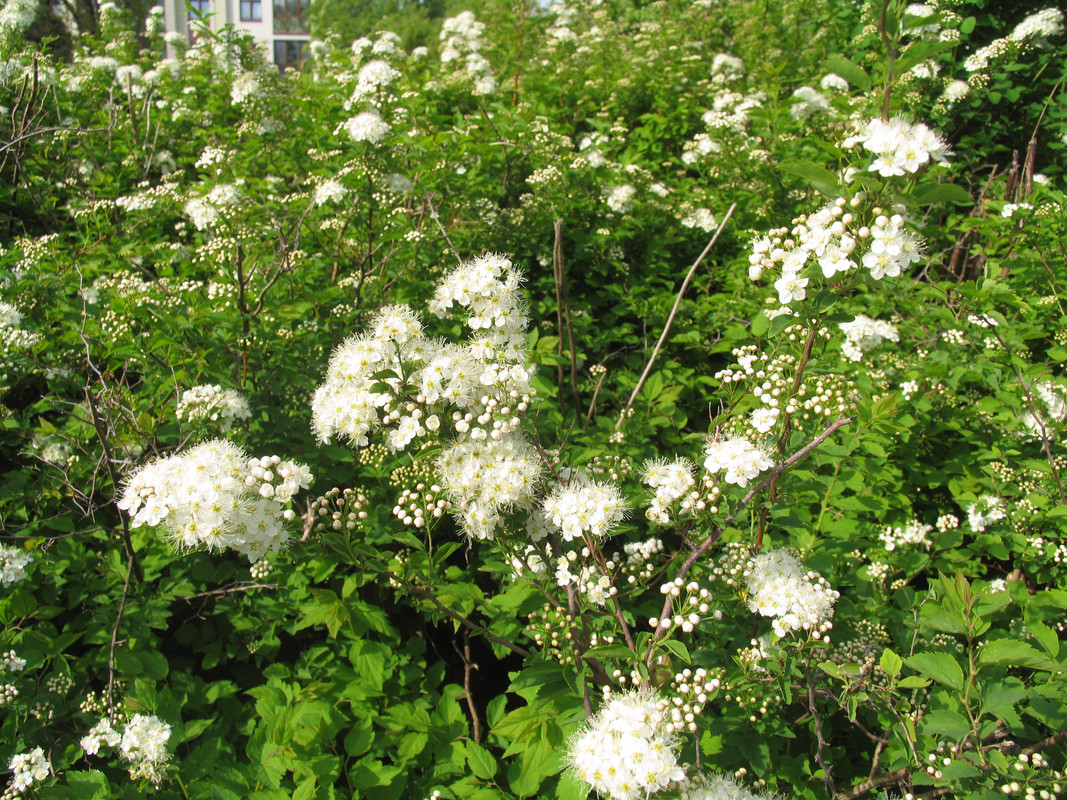 29 апреля 2024 017