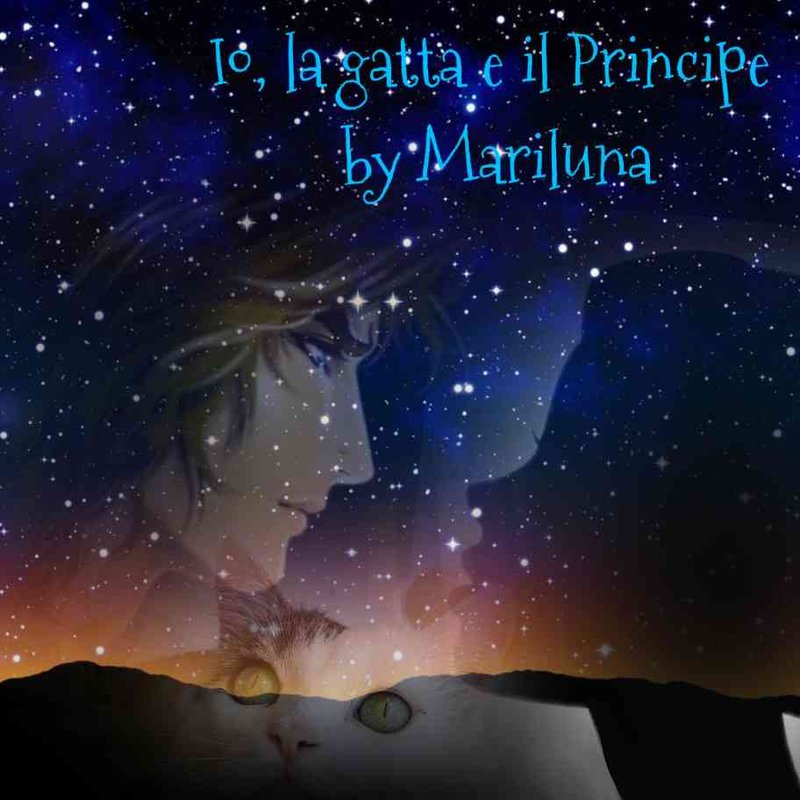 Io-la-gatta-e-il-principe