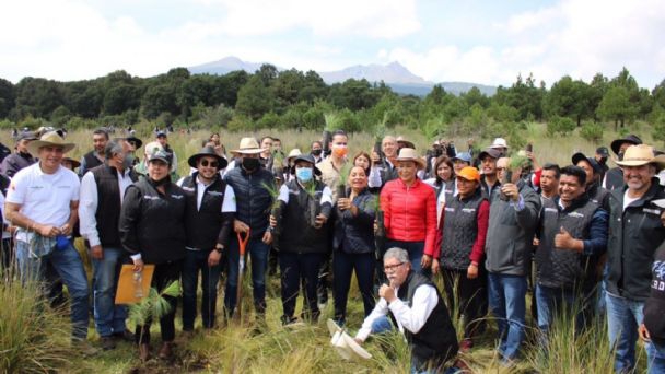 Nevado de Toluca: Plantan árboles para evitar deforestación en la zona y proteger el bosque