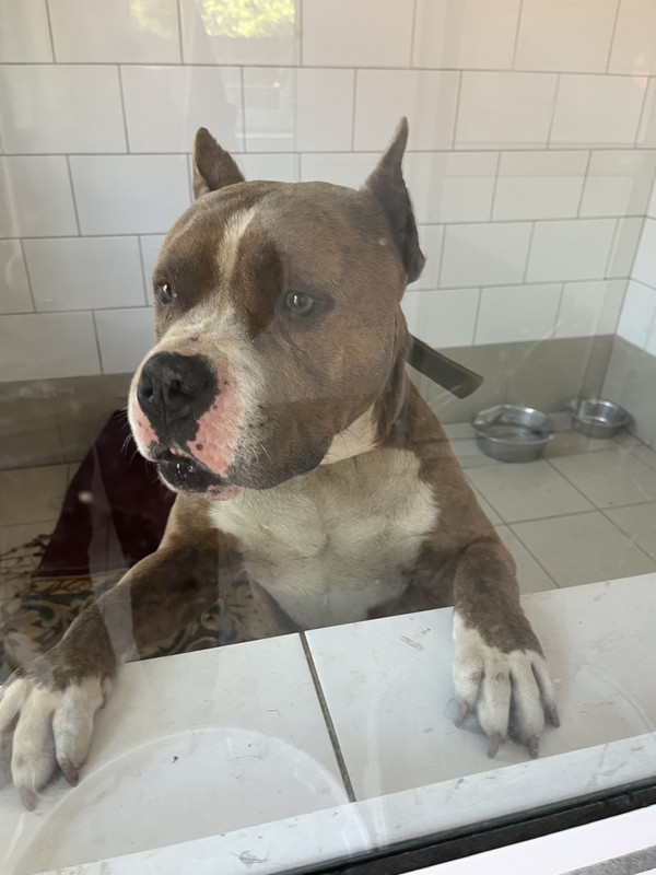 1D002CB4-D873-4CD1-B831-784460BD7B91