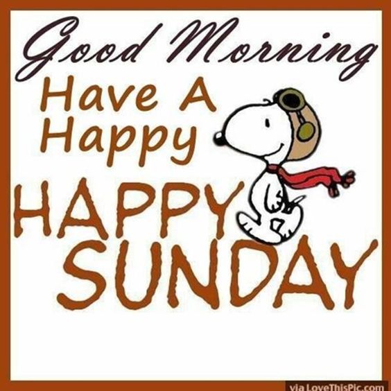 Good Morning, Good Afternoon, Good Evening, Good Night, Good Day! (#2)