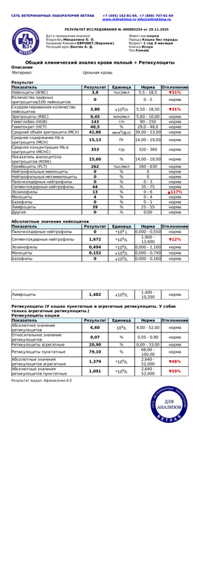 Общий клинический анализ крови полный Ретикулоциты Диагностическое