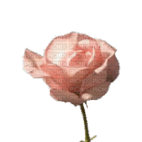 581087-de2aa.gif