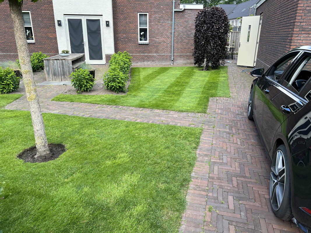 E1E4FF68-92E3-4AB1-B256-56BF8F824A6E