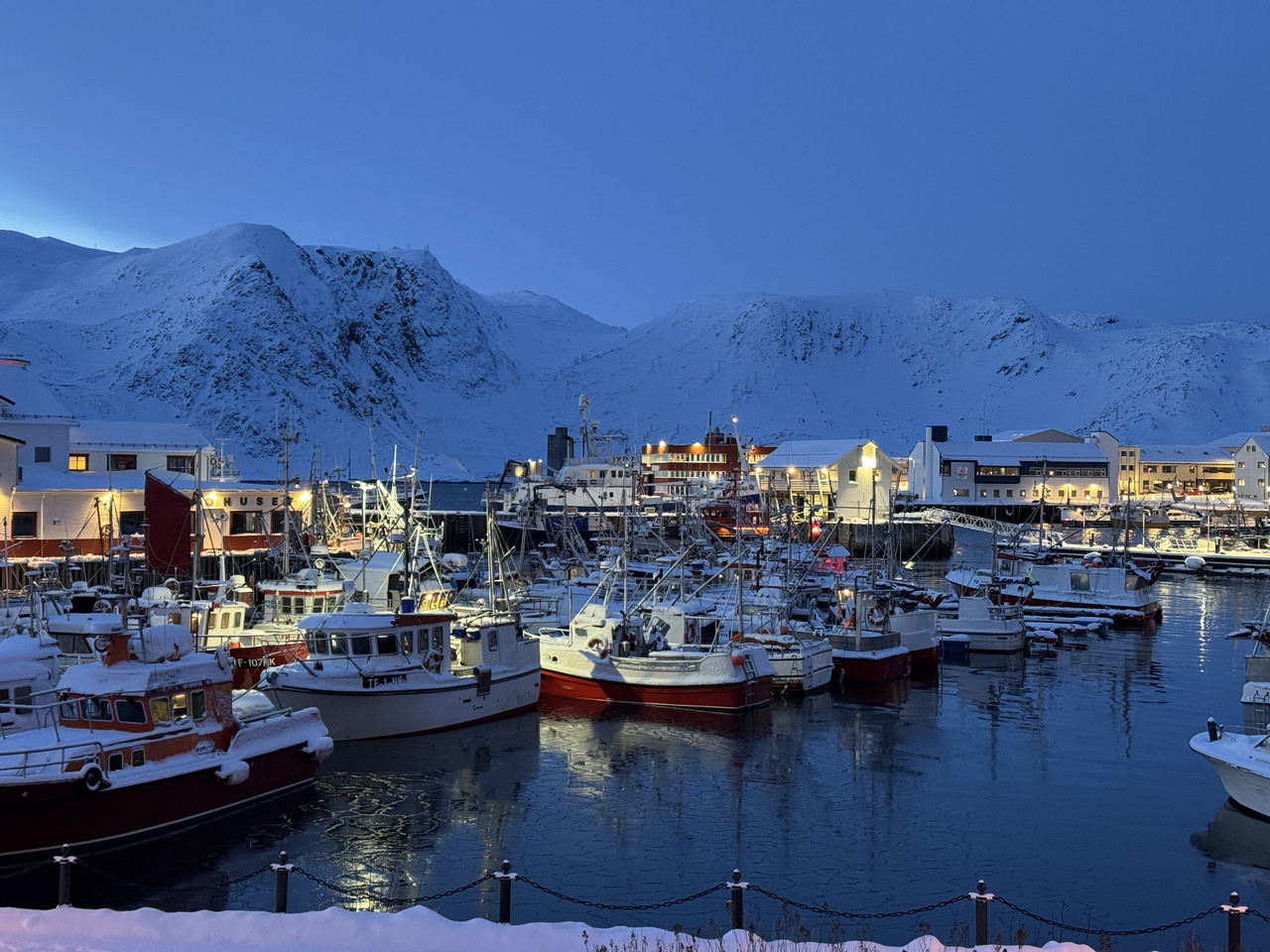 [Immagine: IMG_7836.jpg]