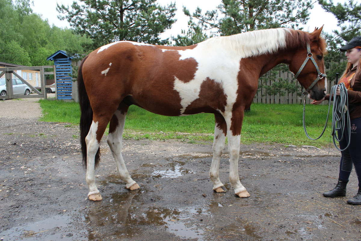 Original man holding beer