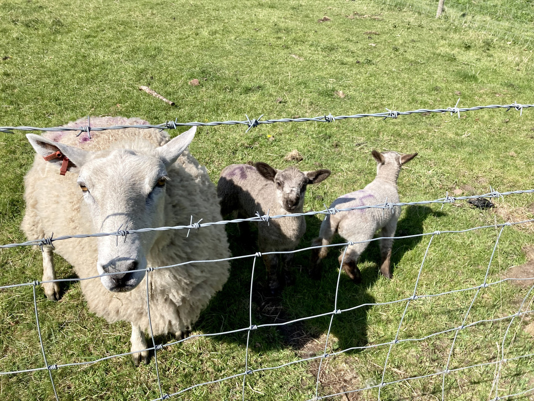 E91E7886-9A87-4B2D-824F-0717DD024506