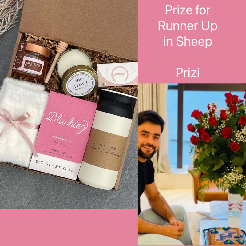 947A017A-21C0-4394-8CCD-8253E217A029