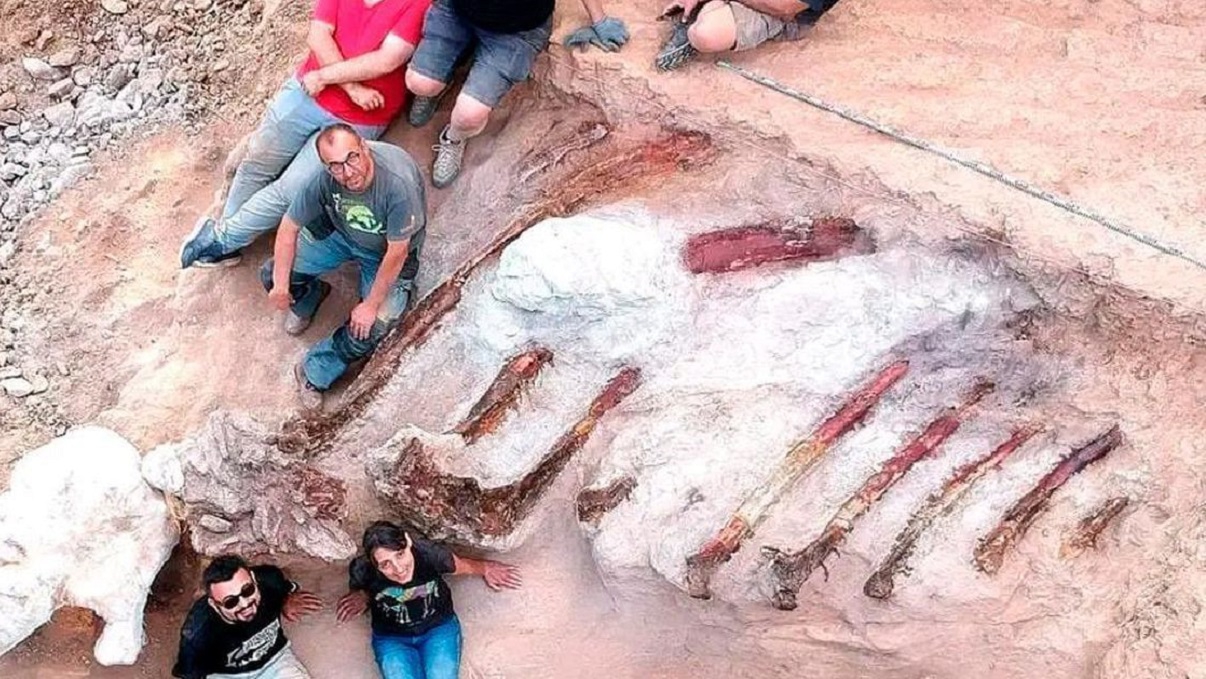 Portugal: Científicos desentierran restos de un enorme dinosaurio saurópodo