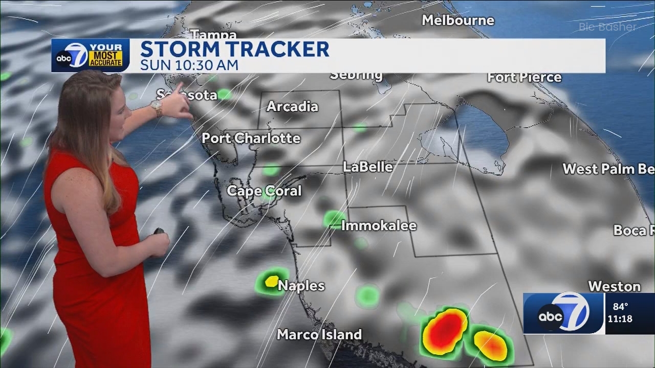 06.09 - 04.00.00 - ABC7 News @ 11pm - Sa  ᴺᵉʷ. No Description Info.ts_snapshot_24.25.943