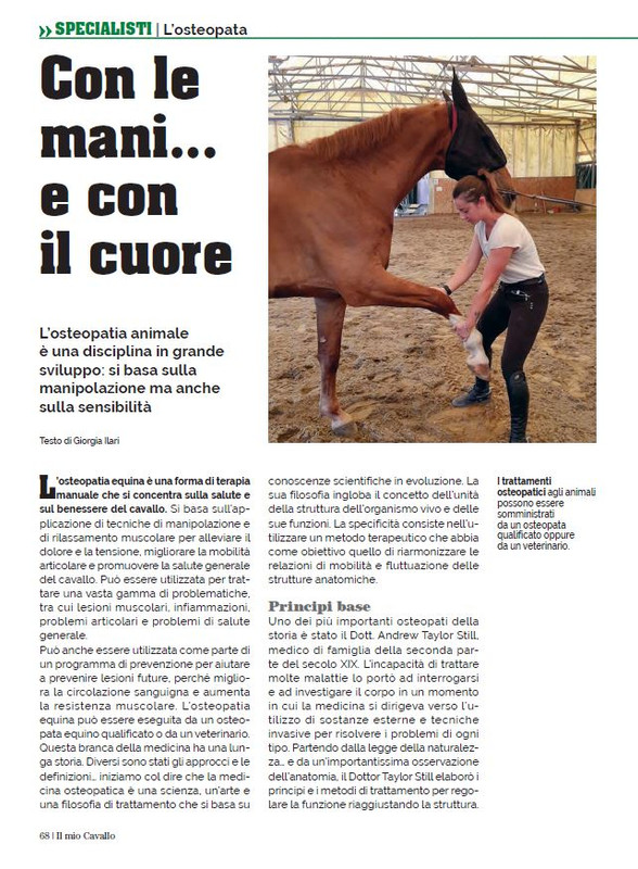 Il Mio Cav (Apr 2023) 9