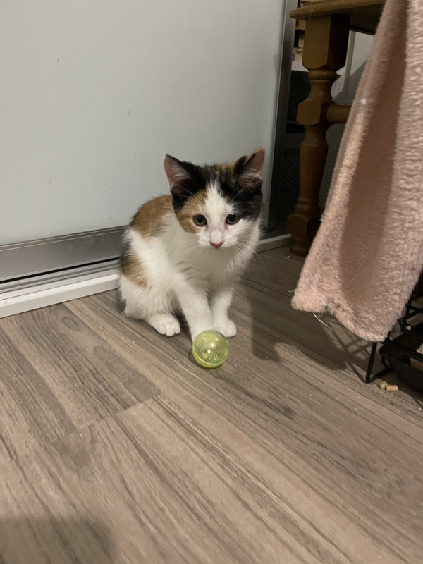 FED95852-7ADA-4255-9043-C399380D5294