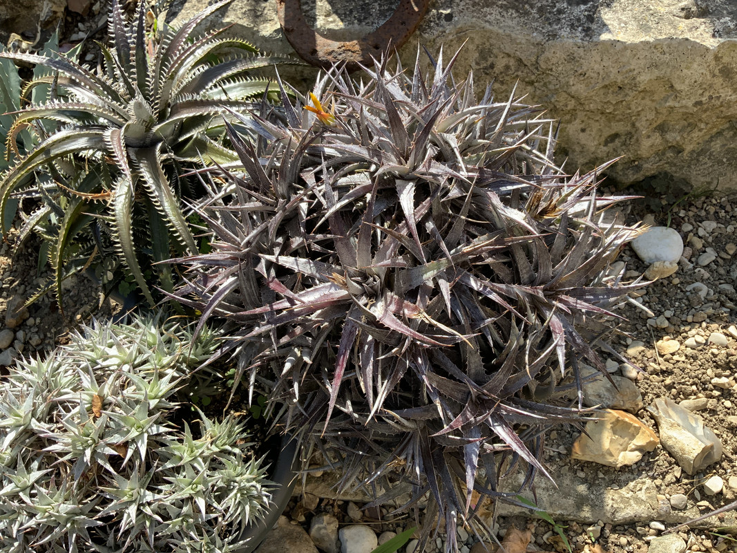 8E662F46-26D6-4C42-B4F8-33E3F0D27D46