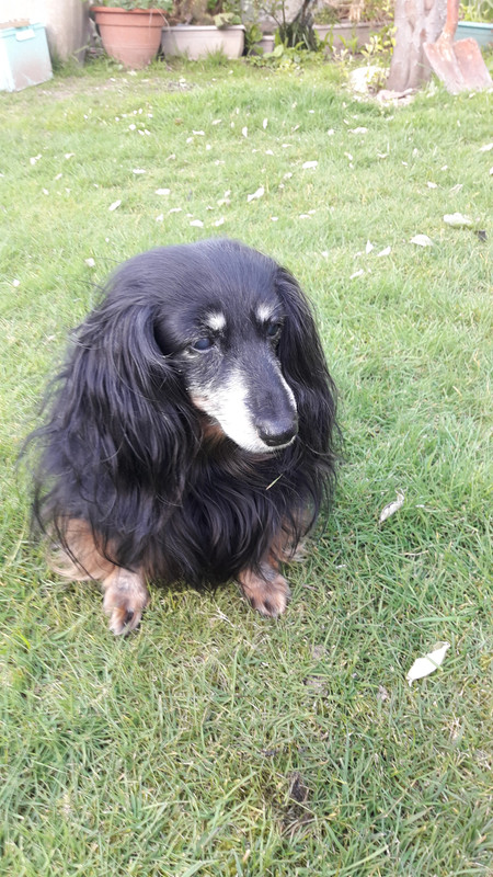 [Image: 20210415-175912.jpg]