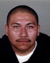 campos.jpg