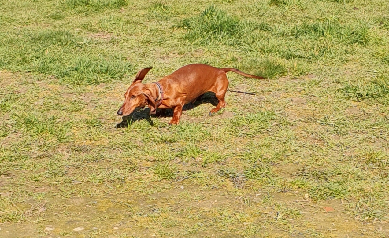 [Image: 20220314-151435.jpg]