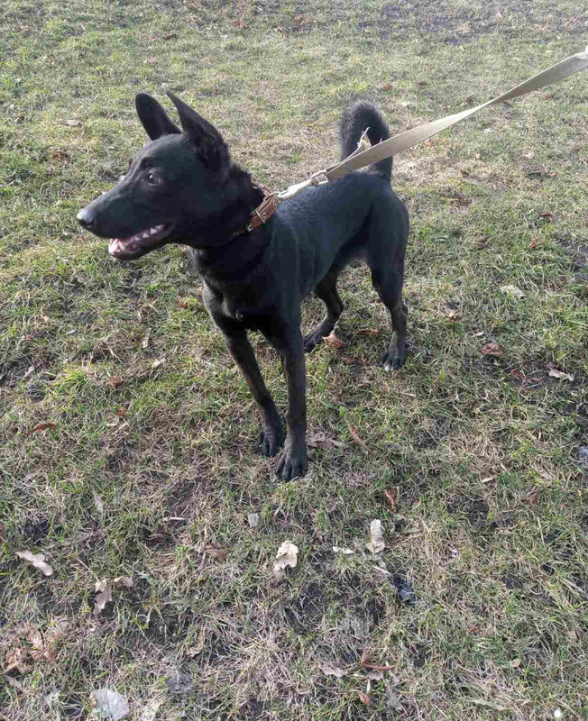 557D8300-BA2C-4C19-922A-A26B656448E8