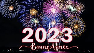 [Image: Bonne-Ann-e-2023.jpg]