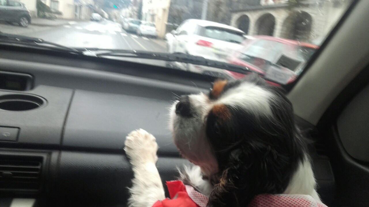 D76825AF-2480-479C-8B7B-75F274D1F1D0