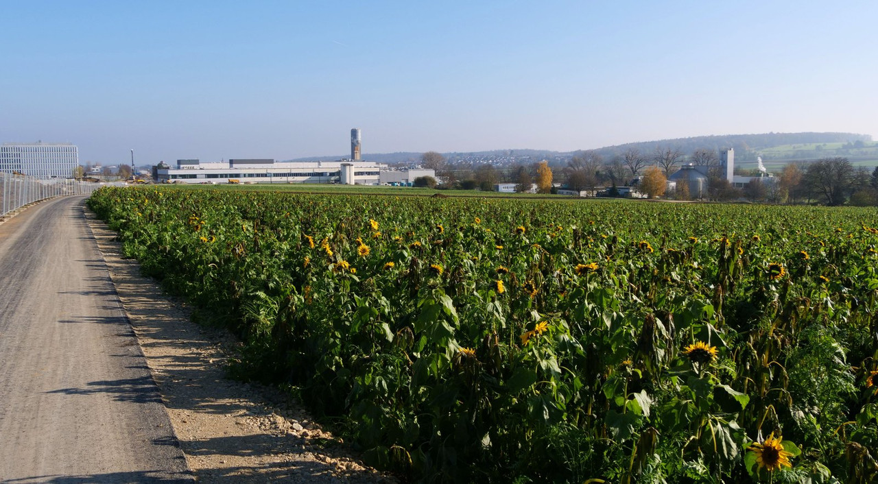 [Bild: 161124-121754-1b.jpg]