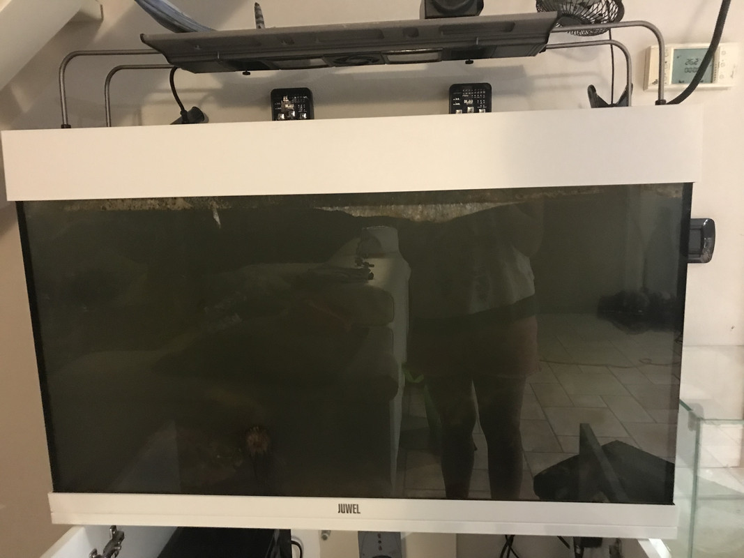 F7214584-6AF6-4B3E-BA89-B5251F963C1A