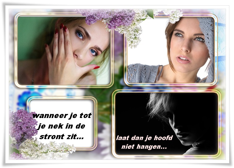 Klik op de afbeelding om de link te volgen