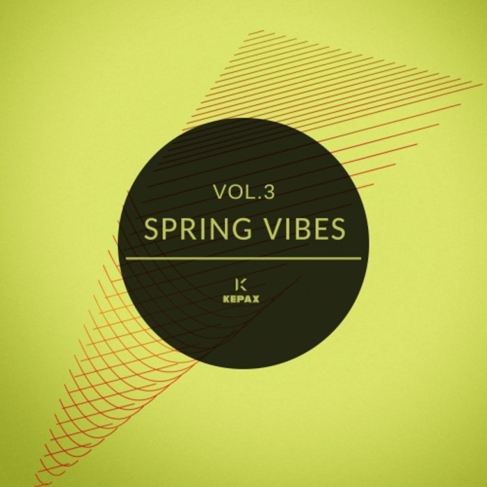 Spring Vibes Vol 3 (2020) mp3 320 Kbps