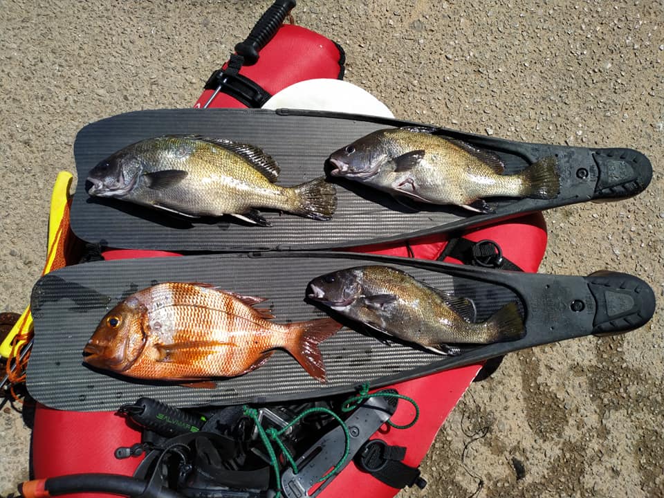 292748220_10226305982812180_6614028923112058775_n