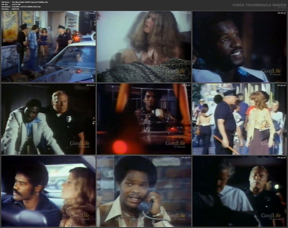 The Blue Knight S02E03 Upward Mobility.mkv