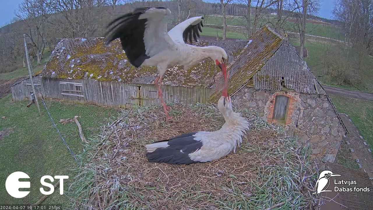 Ekrānuzņēmums 2024-04-07 194804