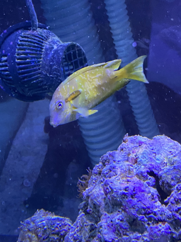 CDBDDC9E-95B7-4504-91F5-BB04DB8703CB