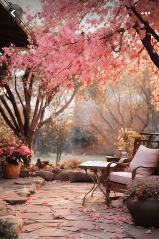 Screenshot_20240501_201320_Pinterest