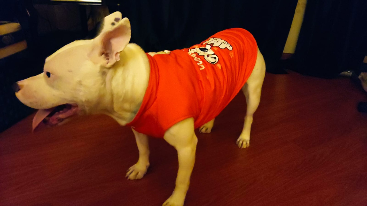 663ADA2B-74C6-47AA-8EF4-0BA529BD9DF3