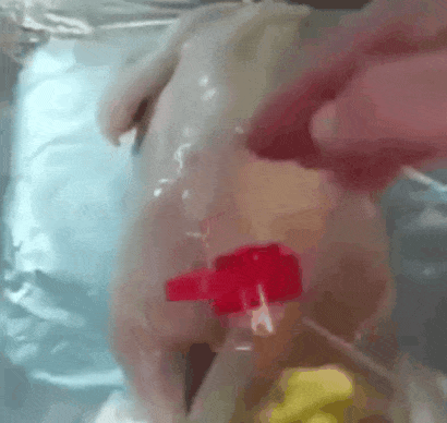 20221212-095154.gif