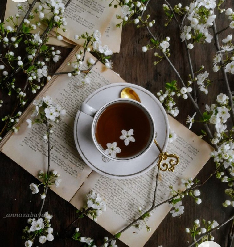 Screenshot_20221227_005509_Chrome