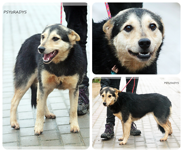 BeFunky-collage (21)