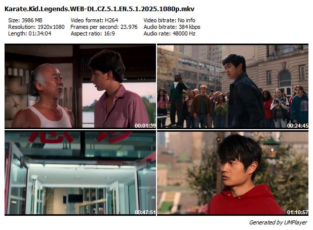 Karate Kid: Legendy / Karate Kid: Legends (2025)