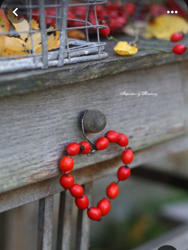 Screenshot_20240214_174327_Pinterest