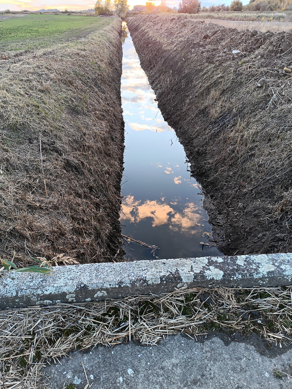 IMG 20251024 172112 934