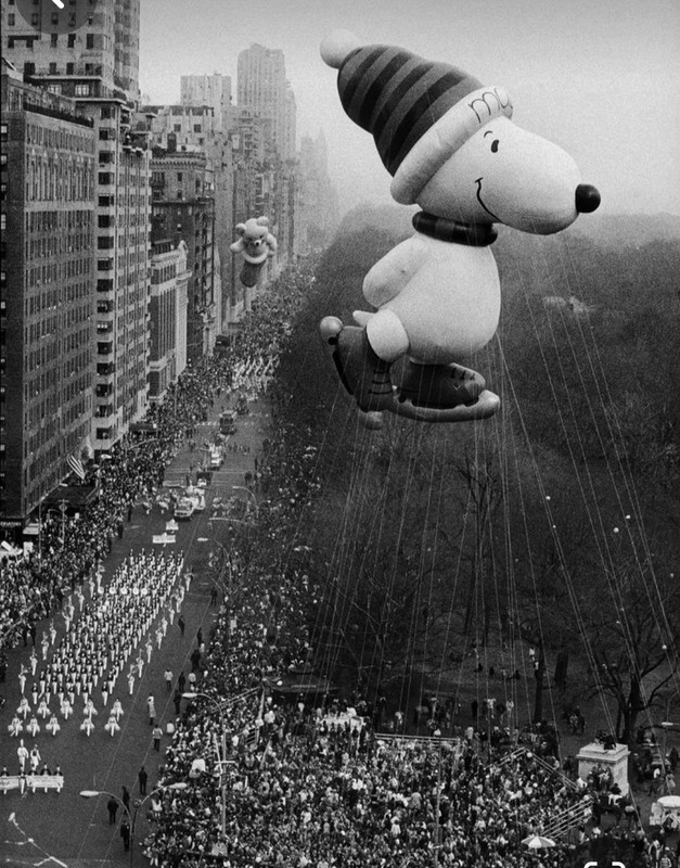 Screenshot_20231212_183307_Pinterest