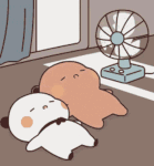 IMG-7341.gif