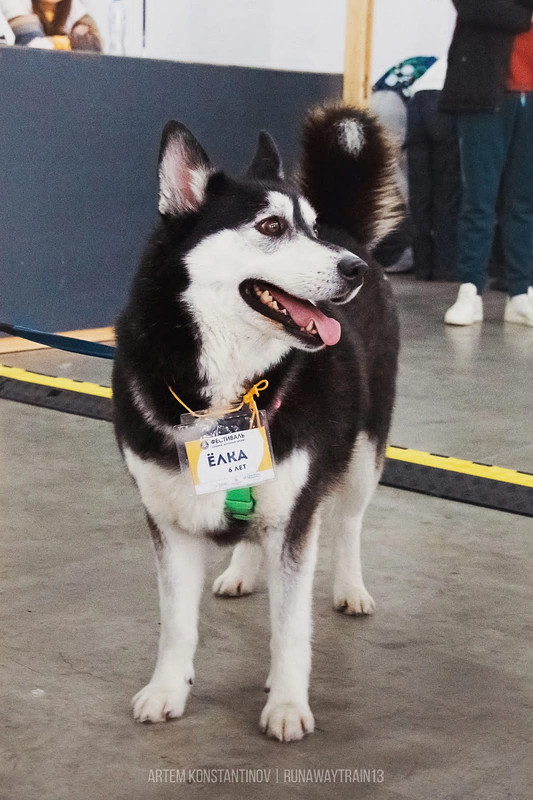 6CC08FF9-B21E-4914-A0C4-6C04552CCE4D