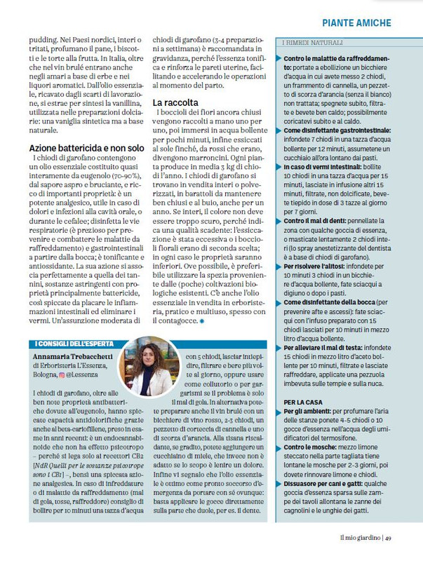 il mio Giar Feb-Mar 2024 (6)