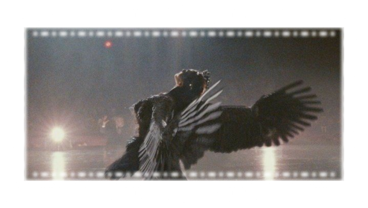 ✦ Black Swan (2010) lovee the symbolism of the movie