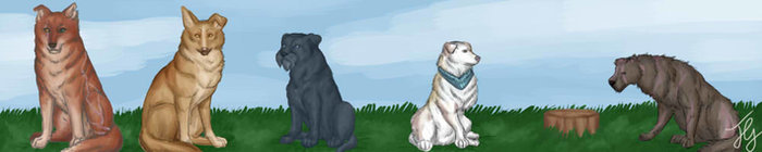 Wolf, Kasai, Kori(deceased), Kensaku & Saika