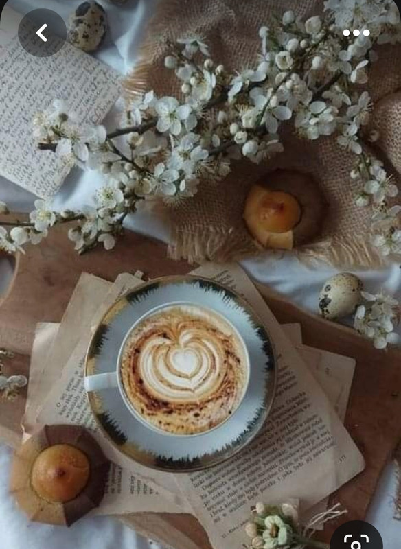 Screenshot_20230316_235540_Pinterest